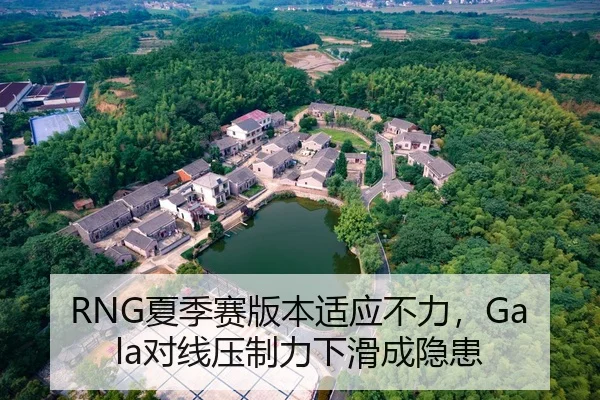 RNG夏季赛版本适应不力，Gala对线压制力下滑成隐患