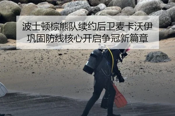 波士顿棕熊队续约后卫麦卡沃伊 巩固防线核心开启争冠新篇章