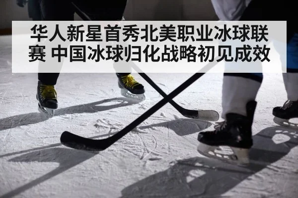 华人新星首秀北美职业冰球联赛 中国冰球归化战略初见成效